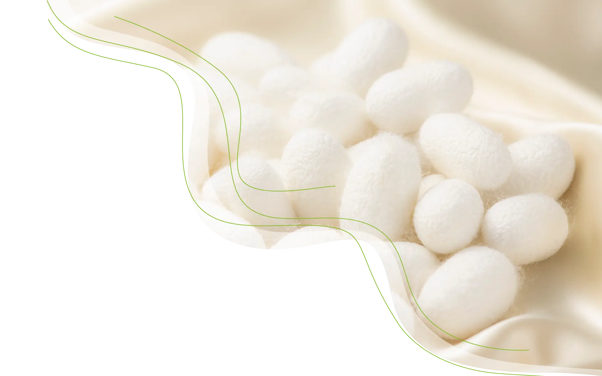 Inauguración del Salón de Actos y Presentación de Resultados del Proyecto ARACNE