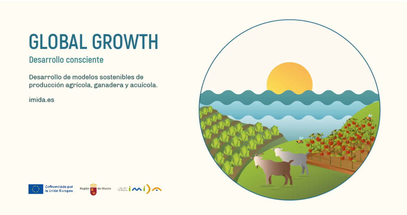 Presentación FEDER GLOBAL GROWTH