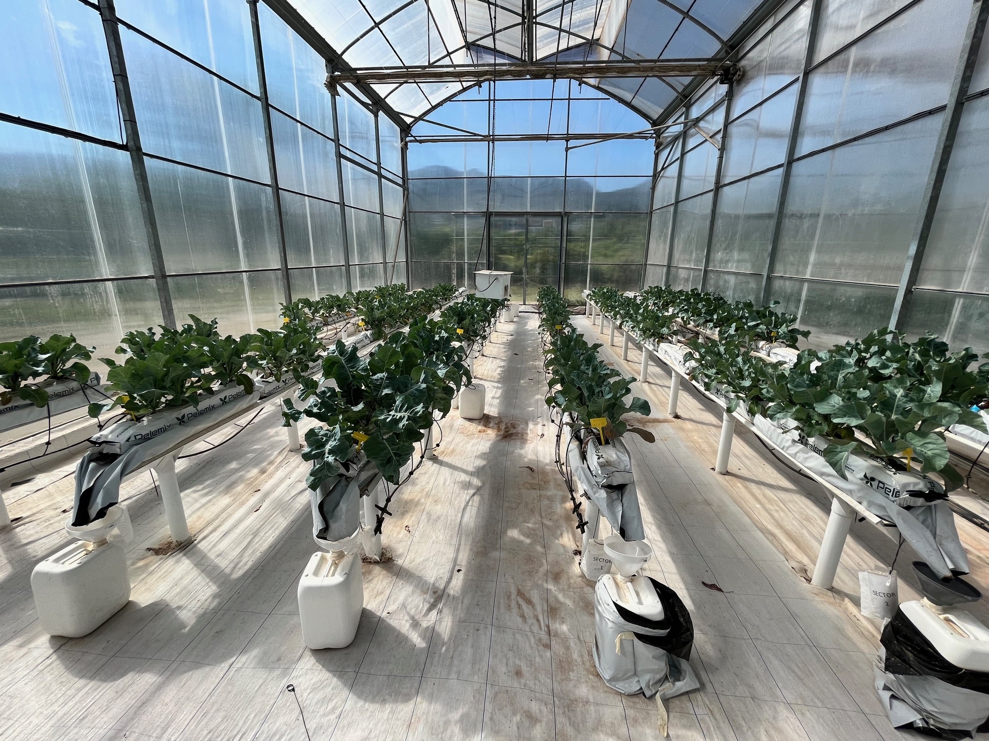 Jornada: Simposio sobre biofertilizantes y circularidad de nutrientes