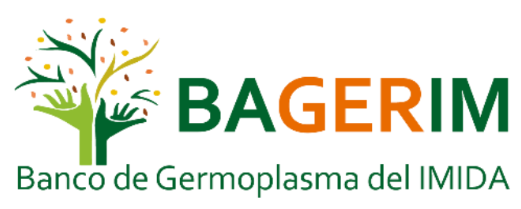 Logo BAGERIM