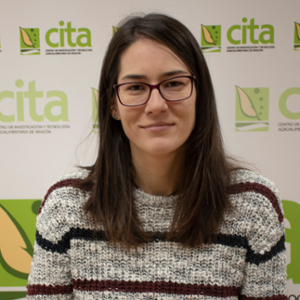 Noemí Mateo